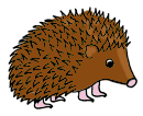 Hedgehog