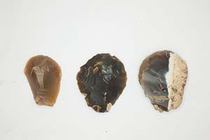 How would you fancy cleaning an animal skin with these flint scrapers? They were used to prepare hides during the Neolithic and Bronze Age.