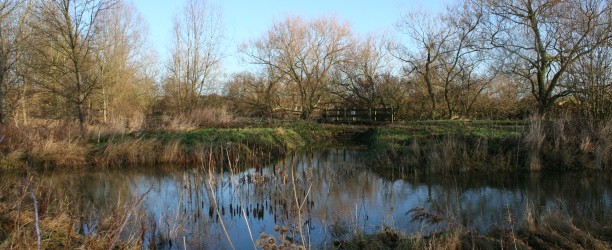 Bailey Bridge Pond nr E. Brook17.01.11a