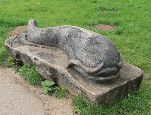 Carved fish bench at Priory Country Park