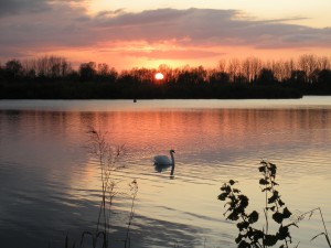 Priory Lake Danny Fellman 4