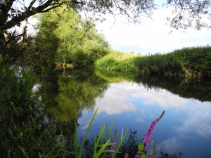 River Gt Ouse3