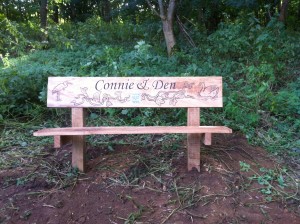 The bench between Danish Camp  Elstow Brook